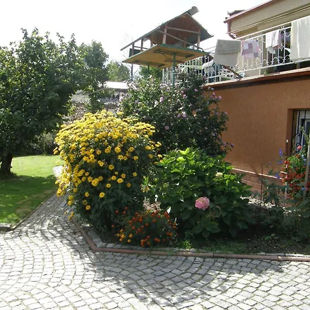 Wanda 홈스테이 *