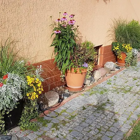 Ubytování v soukromí Wanda