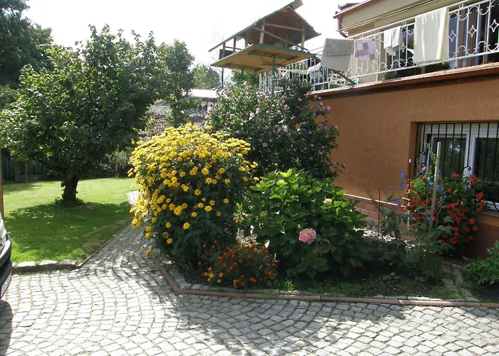 Wanda 홈스테이 *