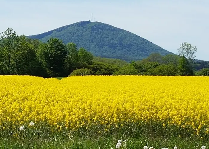 홈스테이 Wanda *